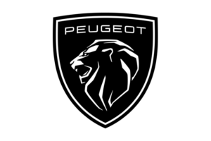 Peugeot 207 || 3p 1.6 thp 16v Feline 150cv